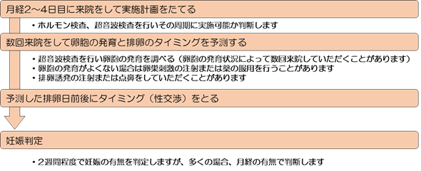 タイミング療法の流れ