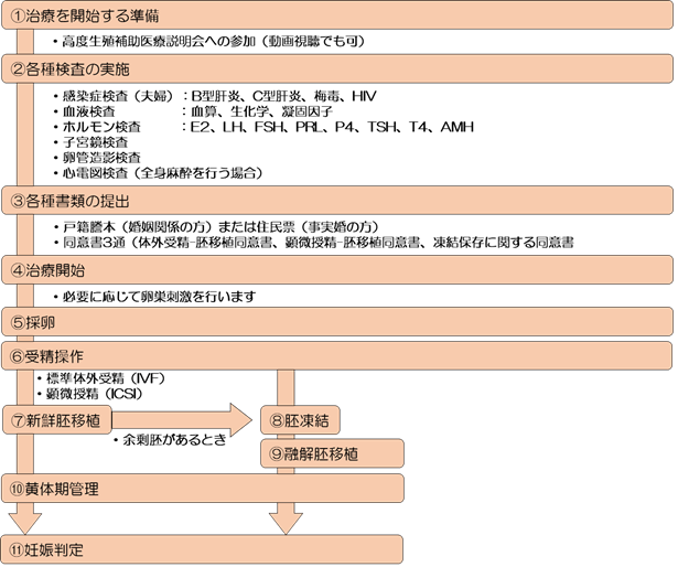 高度生殖補助医療の流れ