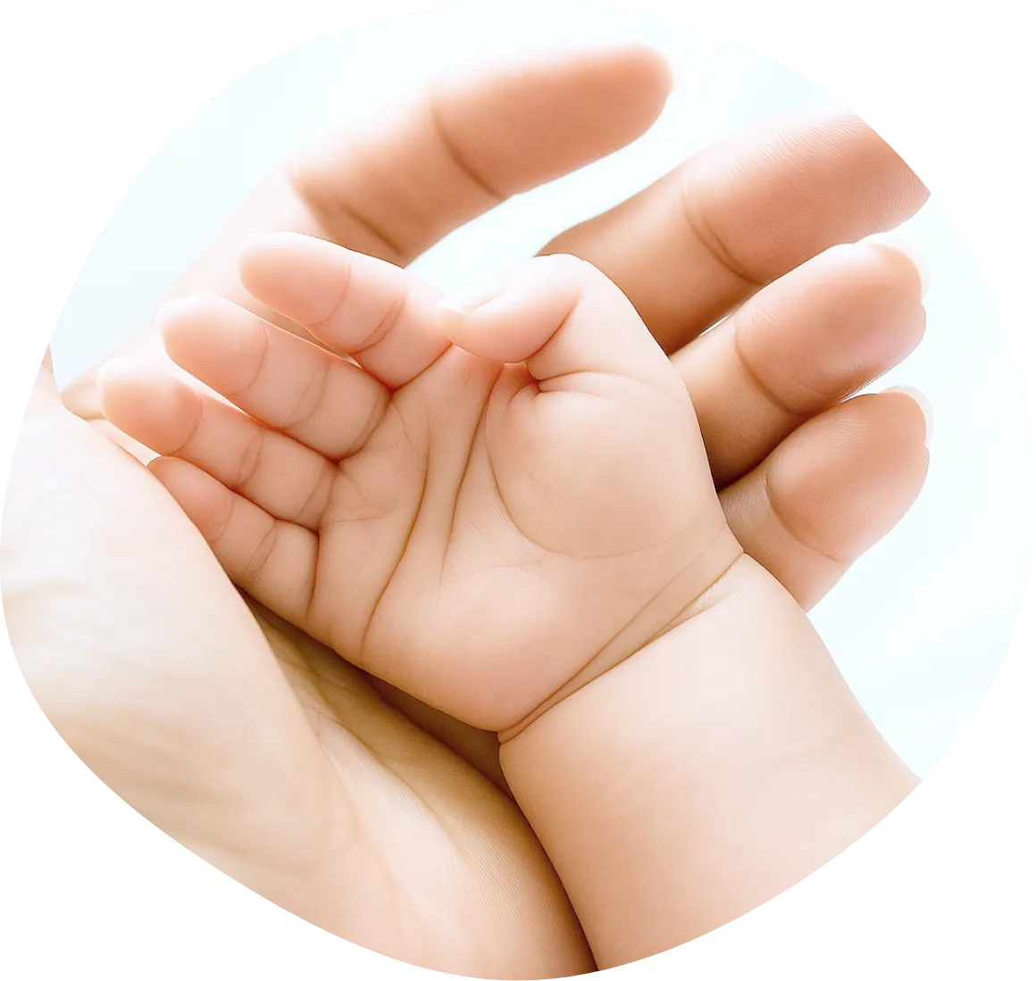 下田産婦人科医院の高度生殖補助医療