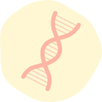 新型出生前診断（NIPT）