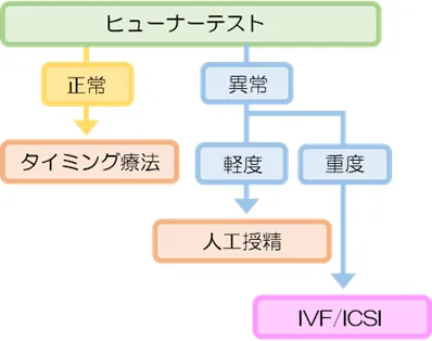 ヒューナーテストに基づいた治療方針