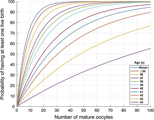 年齢別にみた卵子数と出生確率の関係を示した図