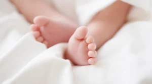 新型出生前診断（NIPT）