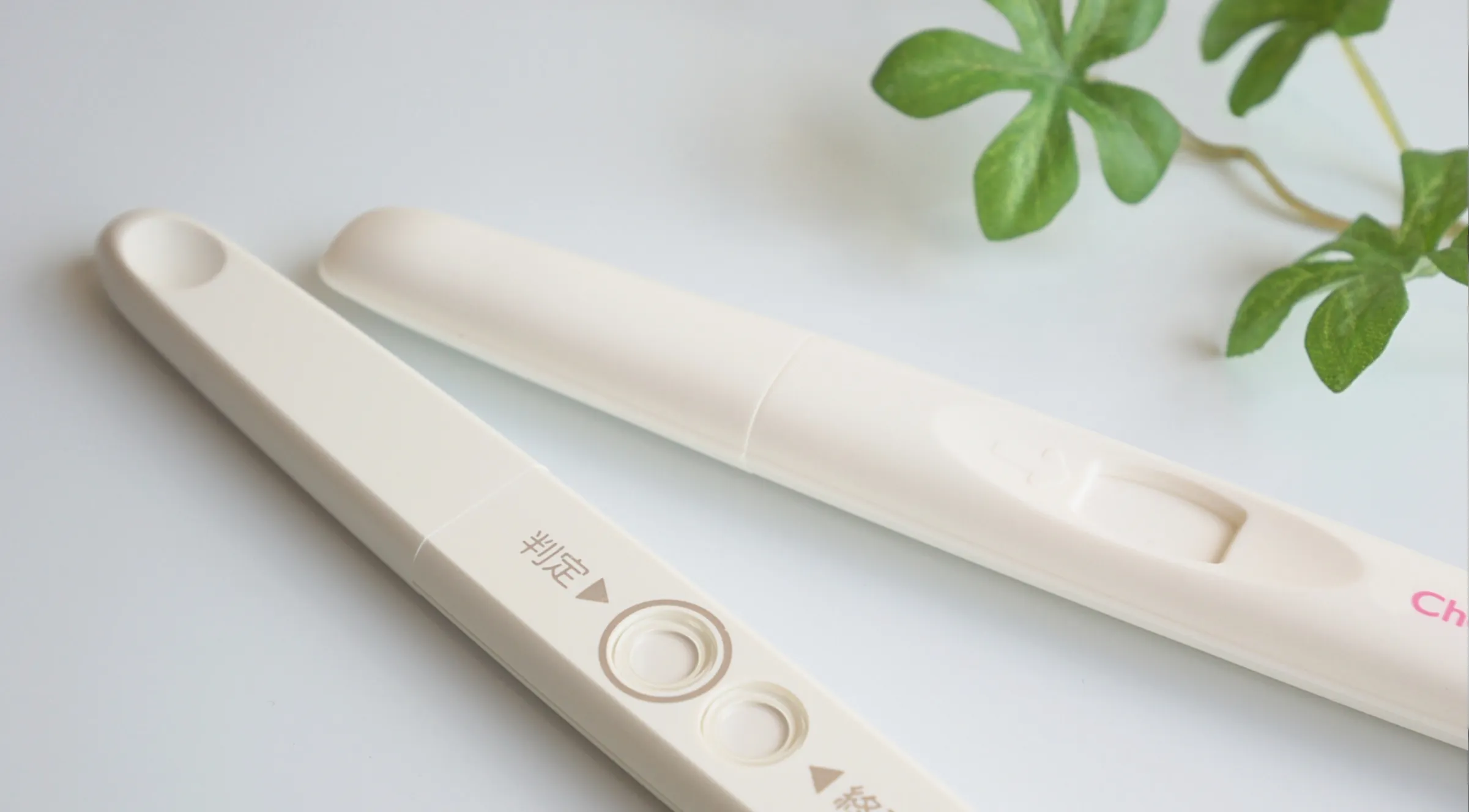 マスクされる画像